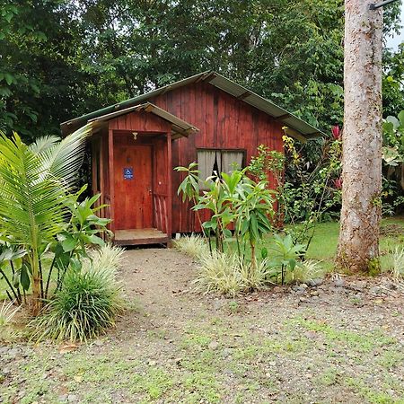 Citronela Lodge Corcovado Drakes Bay Extérieur photo