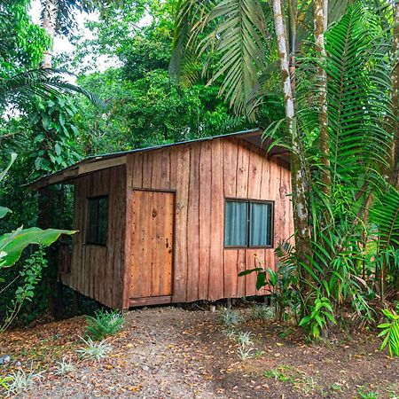 Citronela Lodge Corcovado Drakes Bay Extérieur photo