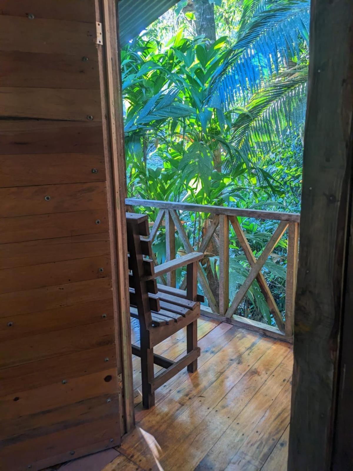 Citronela Lodge Corcovado Drakes Bay Extérieur photo
