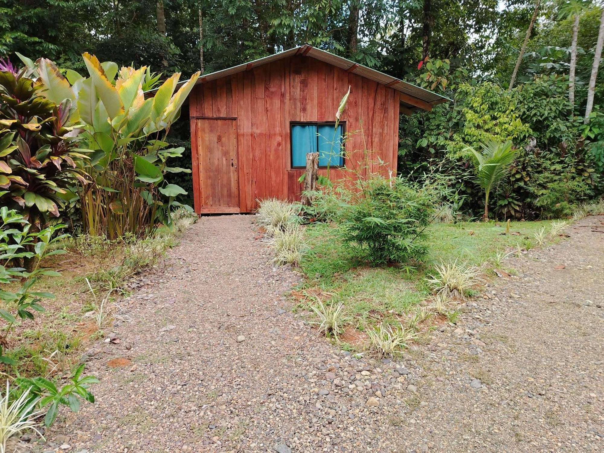 Citronela Lodge Corcovado Drakes Bay Extérieur photo