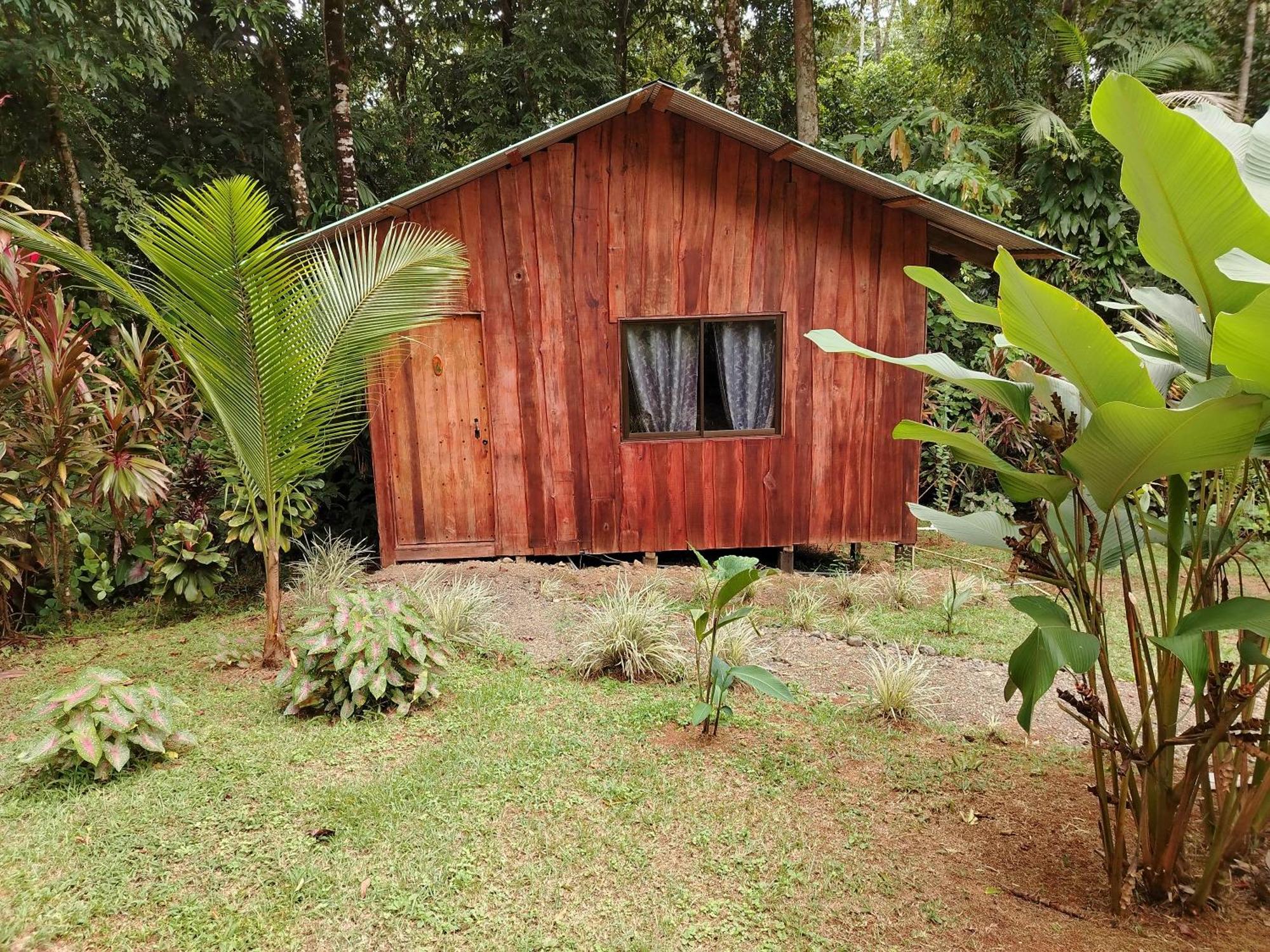 Citronela Lodge Corcovado Drakes Bay Extérieur photo