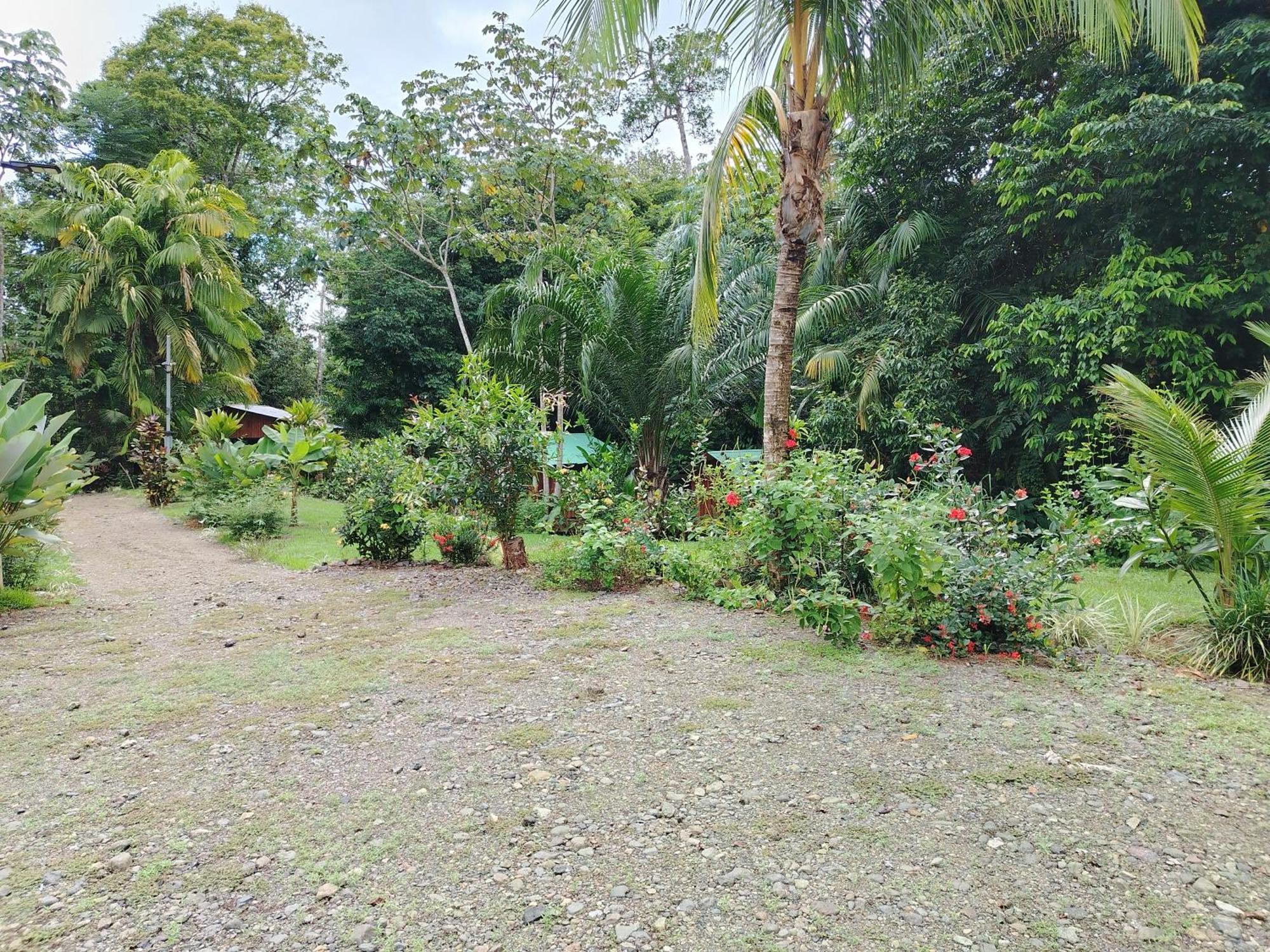 Citronela Lodge Corcovado Drakes Bay Extérieur photo