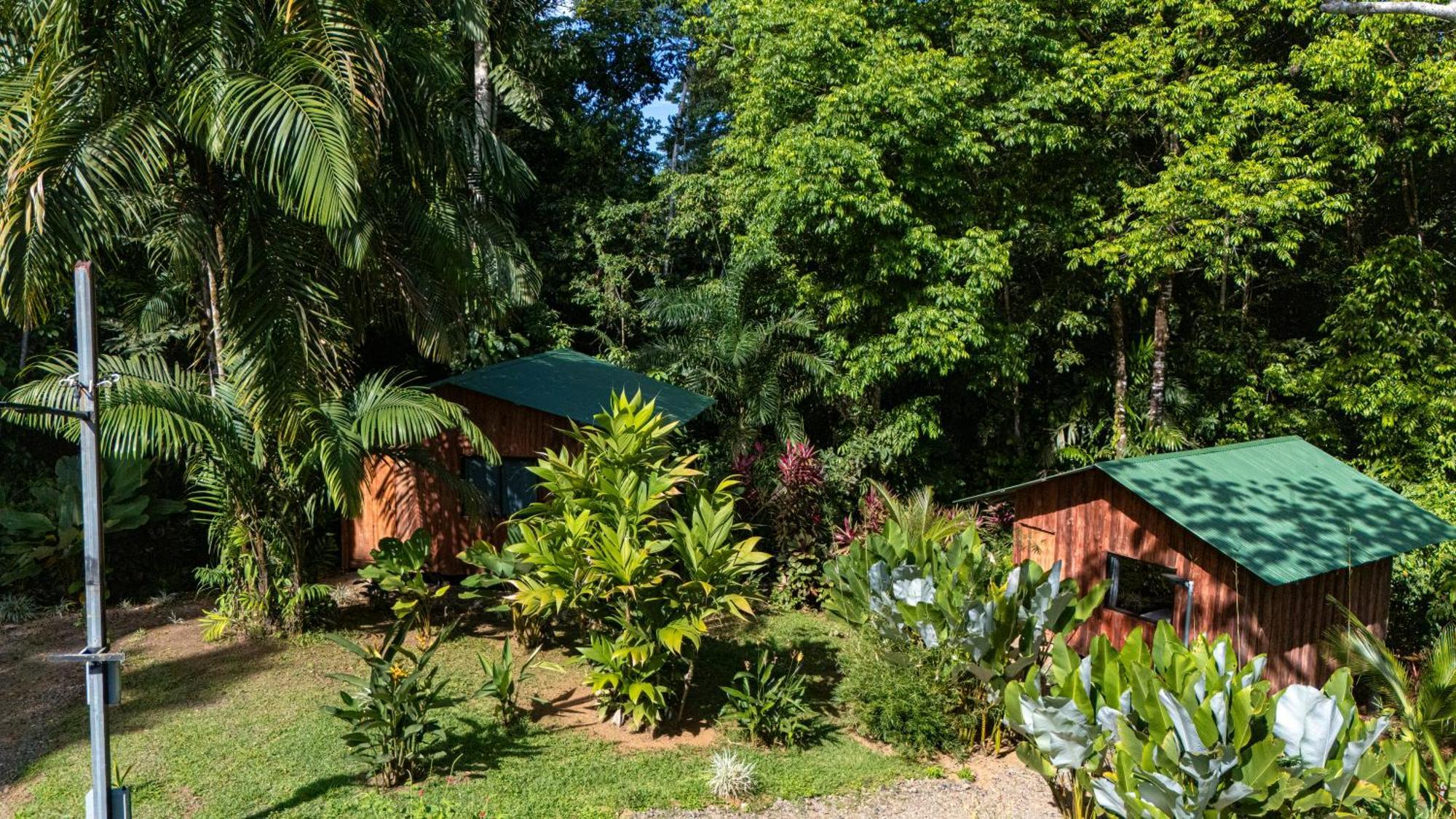 Citronela Lodge Corcovado Drakes Bay Extérieur photo