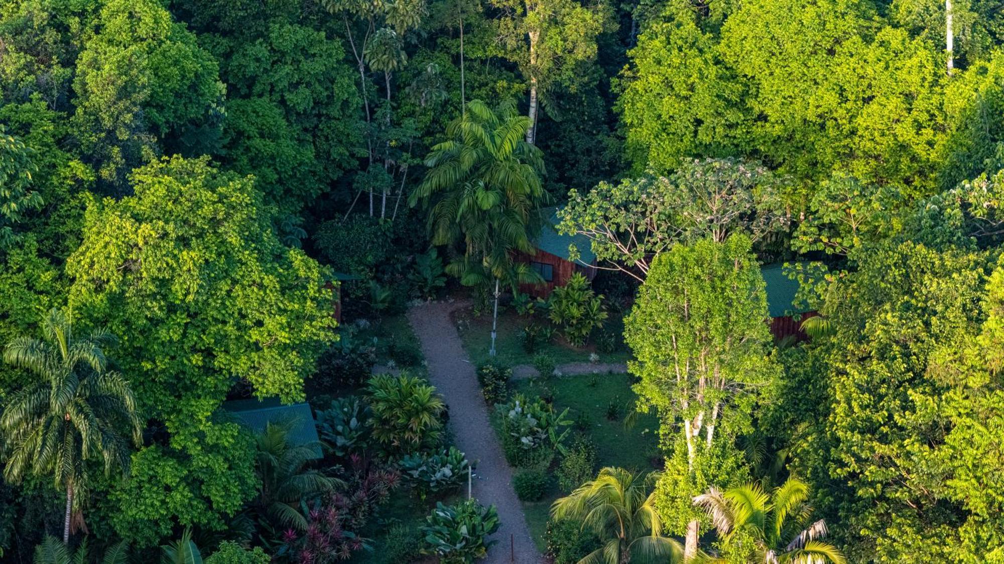Citronela Lodge Corcovado Drakes Bay Extérieur photo