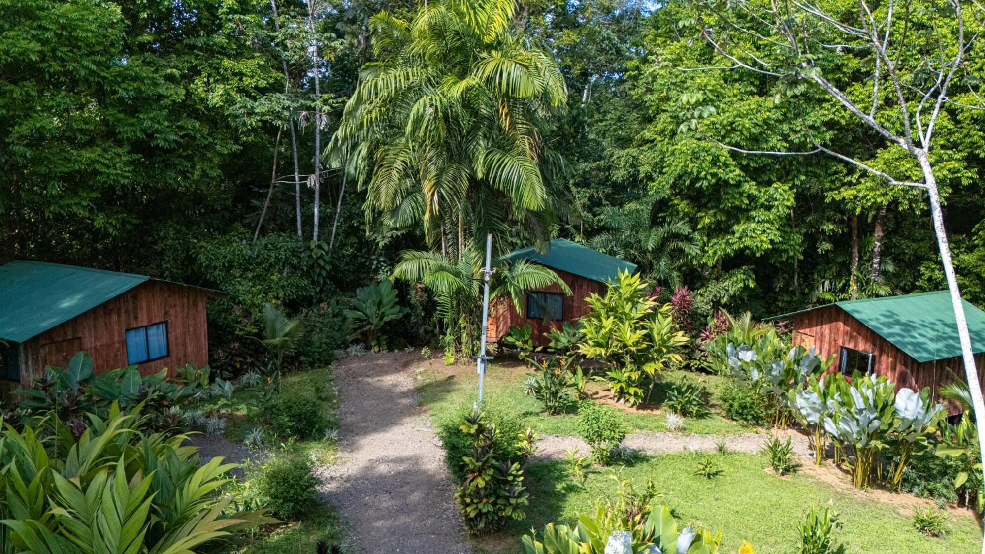Citronela Lodge Corcovado Drakes Bay Extérieur photo