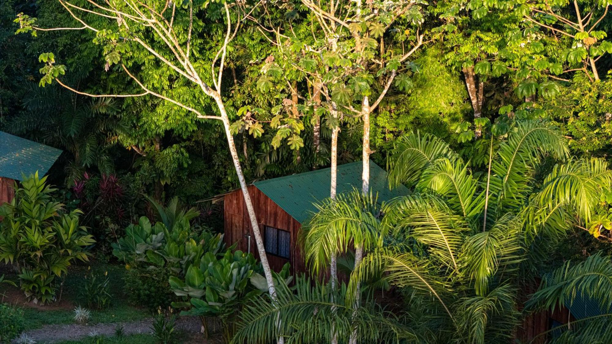 Citronela Lodge Corcovado Drakes Bay Extérieur photo