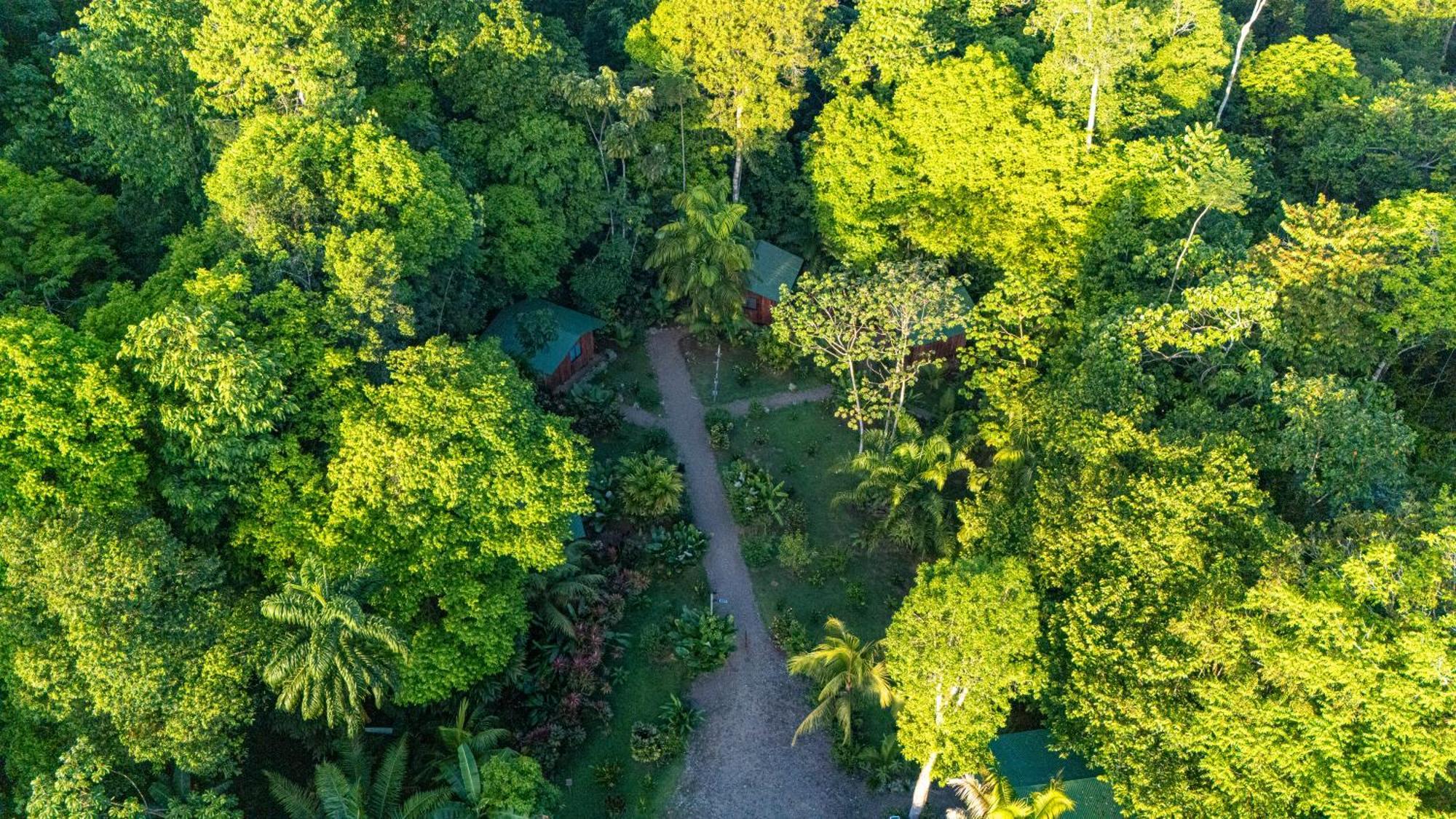 Citronela Lodge Corcovado Drakes Bay Extérieur photo