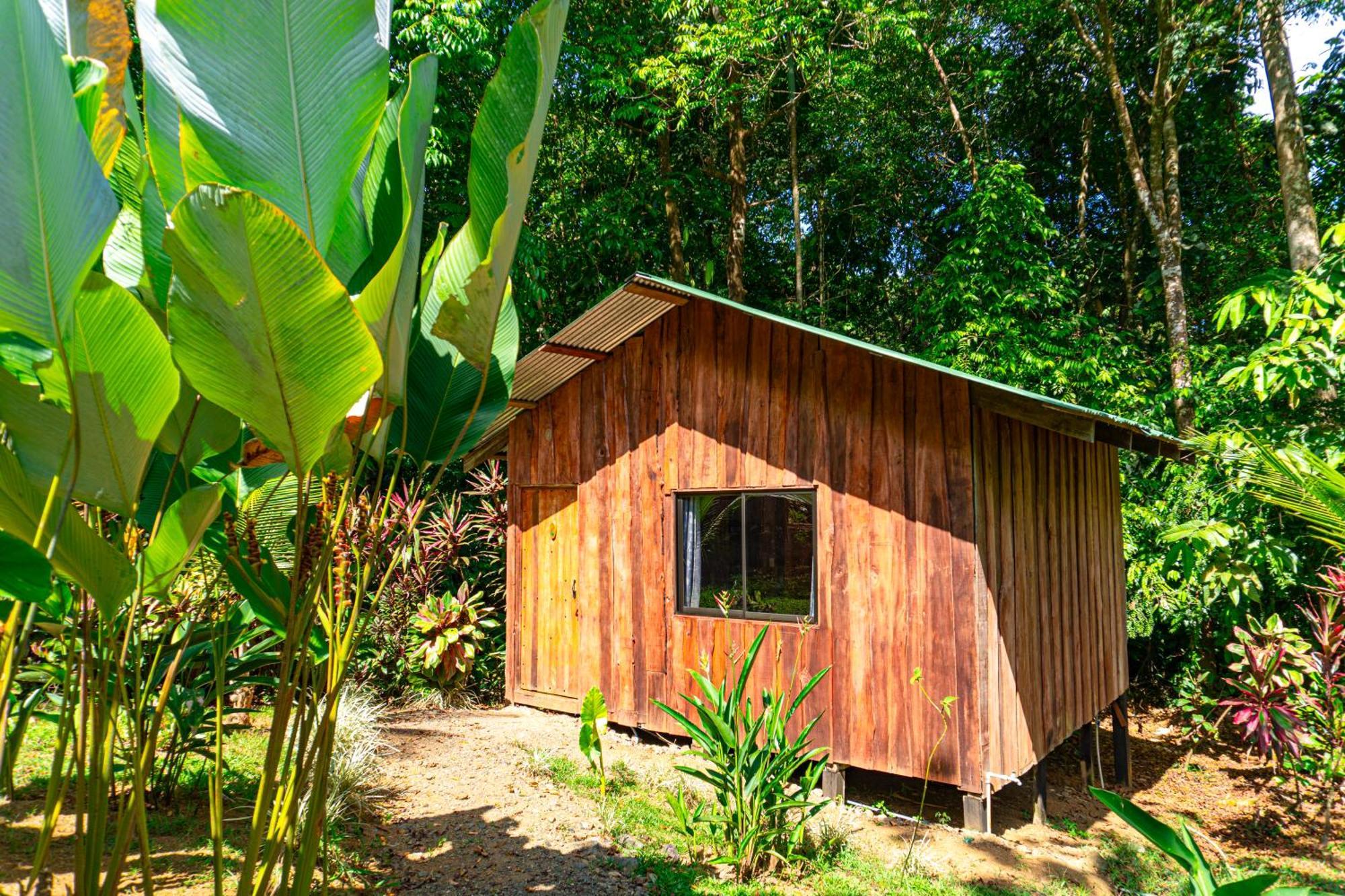 Citronela Lodge Corcovado Drakes Bay Extérieur photo