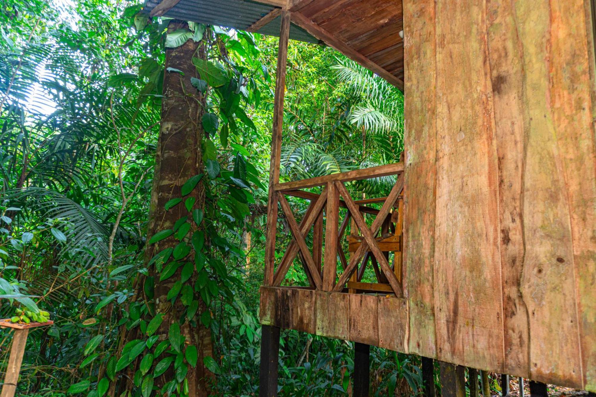 Citronela Lodge Corcovado Drakes Bay Extérieur photo