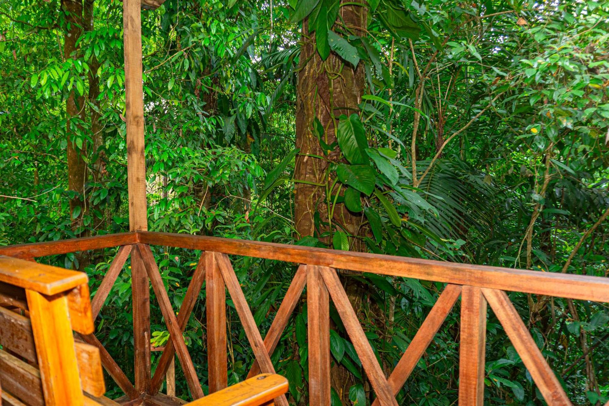 Citronela Lodge Corcovado Drakes Bay Extérieur photo