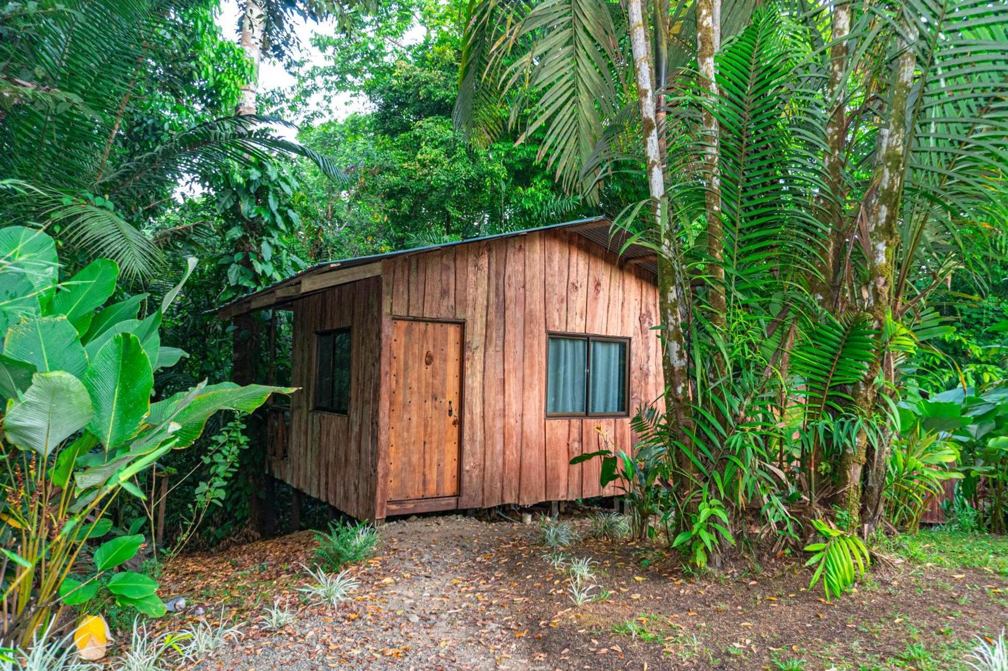 Citronela Lodge Corcovado Drakes Bay Extérieur photo