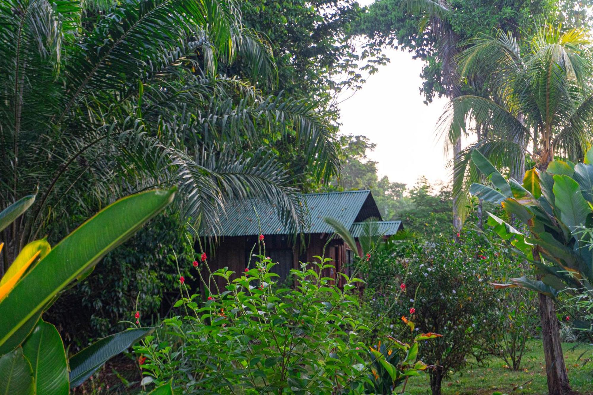 Citronela Lodge Corcovado Drakes Bay Extérieur photo
