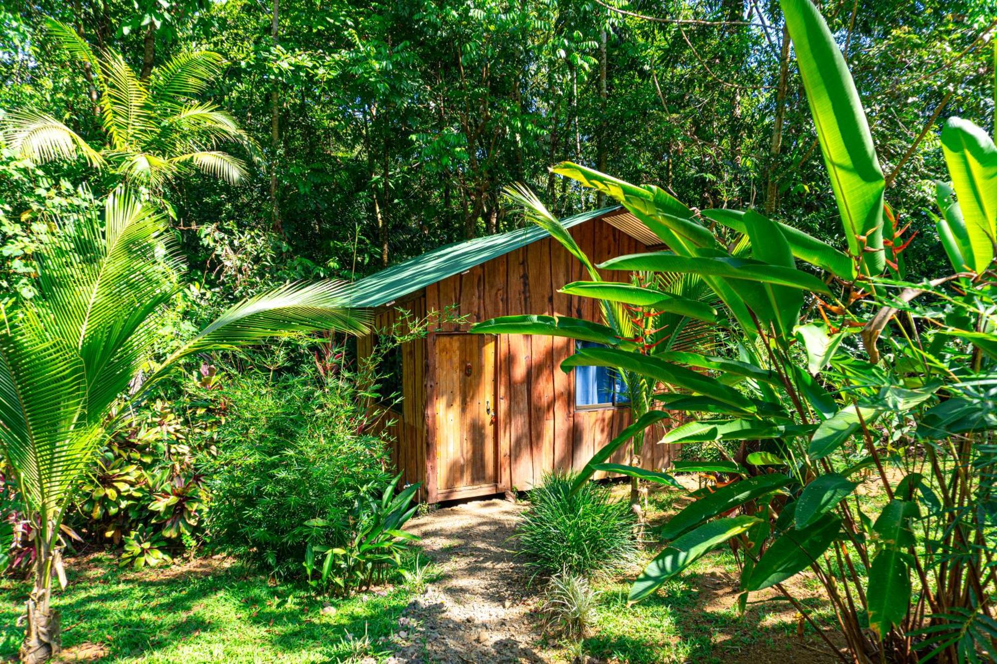 Citronela Lodge Corcovado Drakes Bay Extérieur photo
