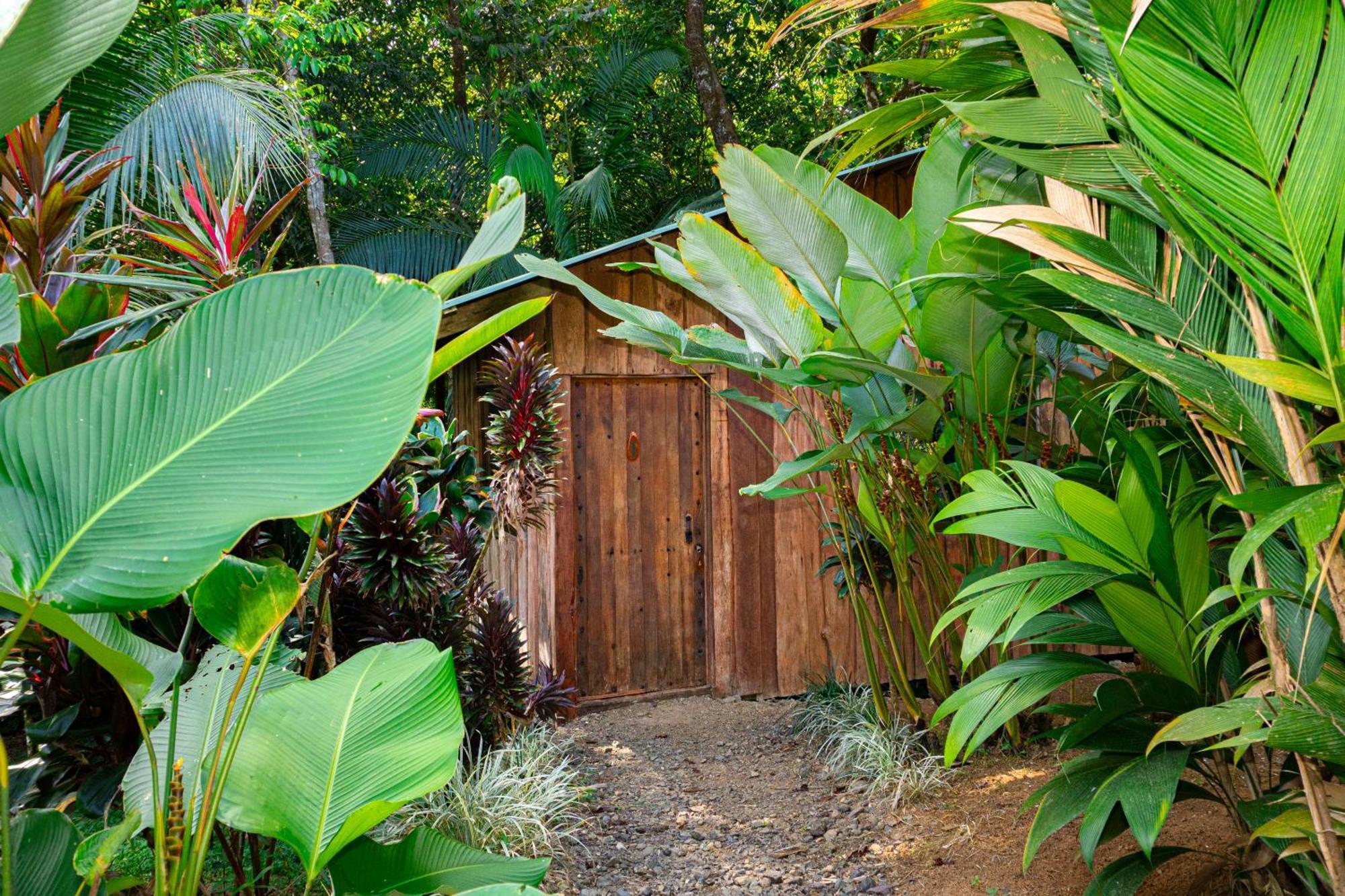 Citronela Lodge Corcovado Drakes Bay Extérieur photo