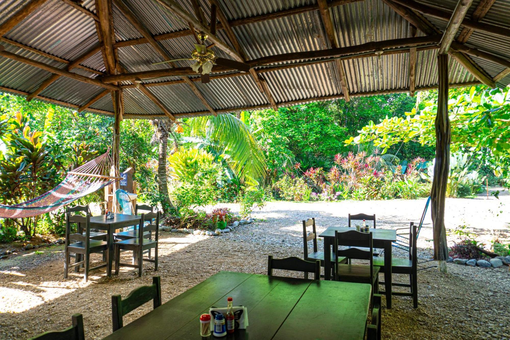 Citronela Lodge Corcovado Drakes Bay Extérieur photo