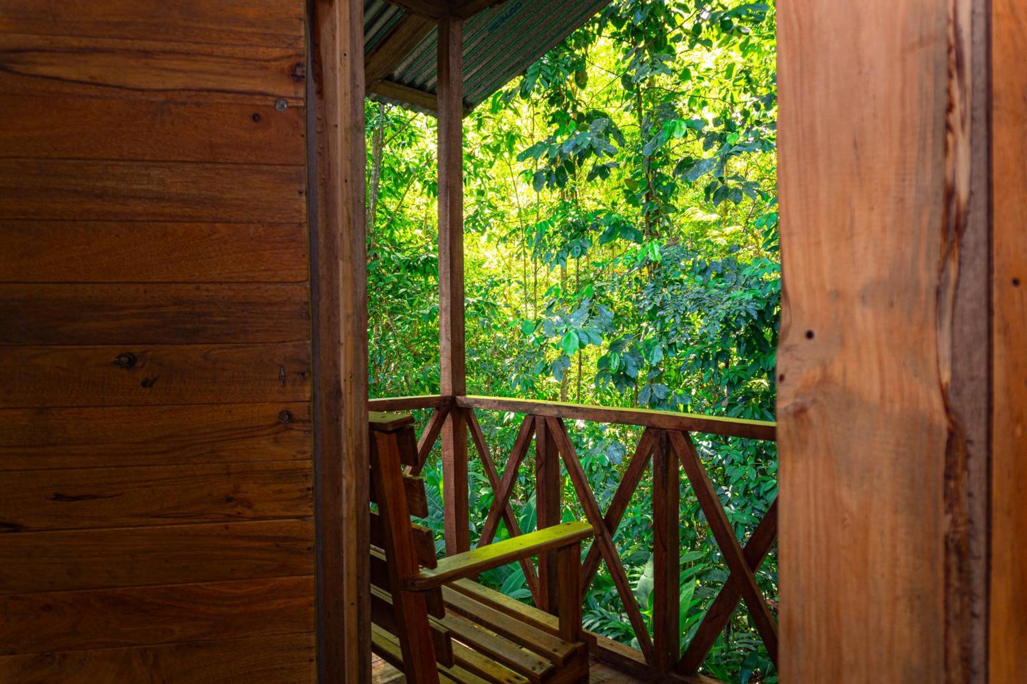 Citronela Lodge Corcovado Drakes Bay Extérieur photo